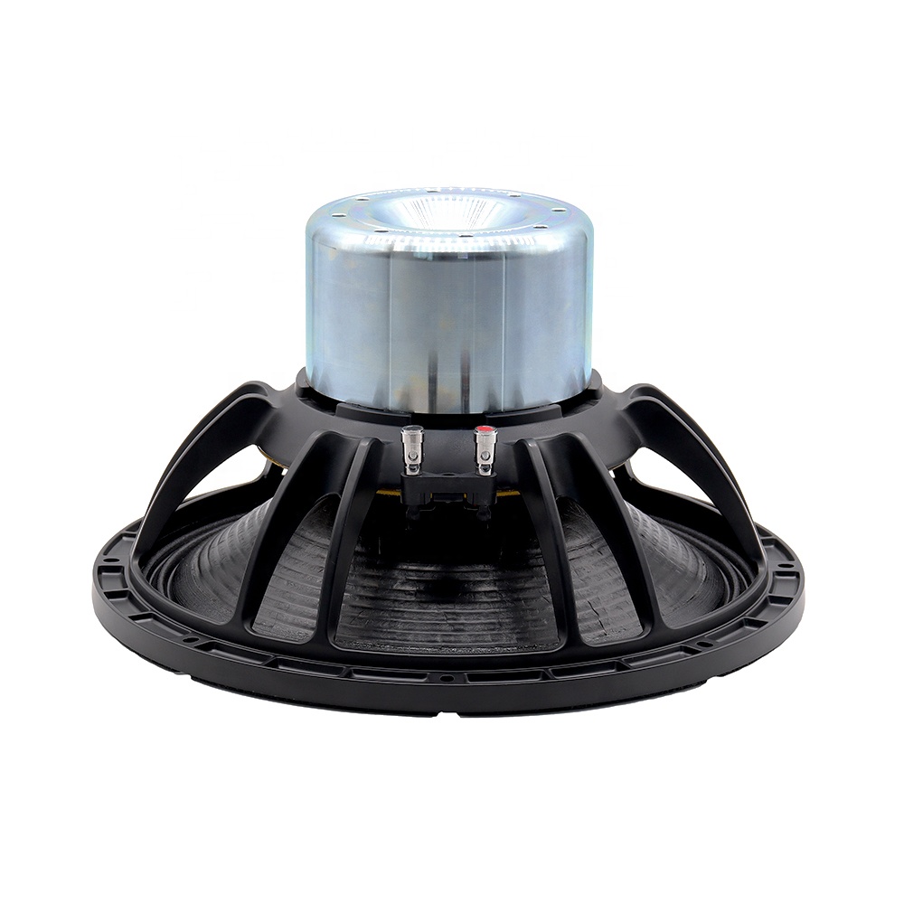 Subwoofer - 15IPAL Nieuwe Professionele Audio Geluid 15
