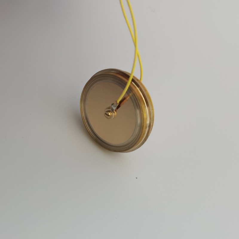 M7 Verguld 32mm Grote Gouden D - Microphone Capsule recensie en prijs