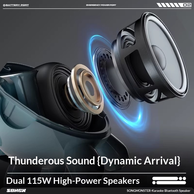 SONGX Audio Dubbele microfoon  - Full Range Speaker recensie en prijs